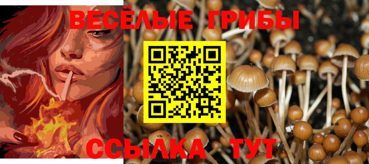 Галлюциногенные грибы мицелий  Вход с VPN  Южно-Сахалинск 